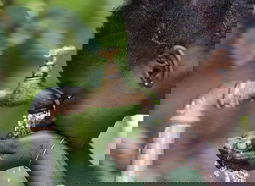 体育商业联盟管理