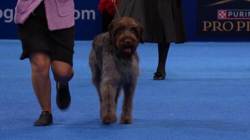 运动会策划与执行